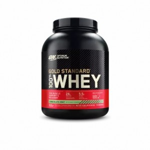 Optimum Nutrition GOLD STANDARD 100% WHEY™ Chocolate Mint 5 lb (70 Servings) South Africa | WGXVMP-584
