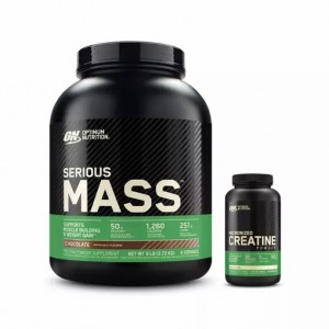 Optimum Nutrition Mass Stack South Africa | NRVOFP-563