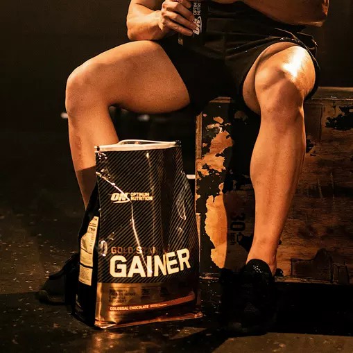 Optimum Nutrition Gold Standard Gainer Chocolate 4.67kg South Africa | RUSYZH-243