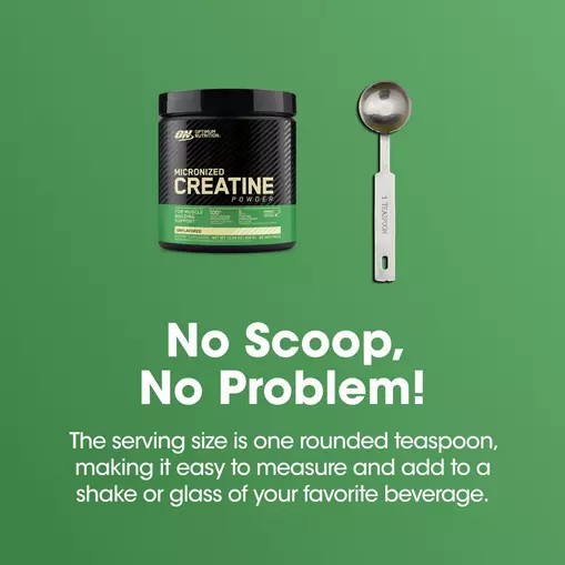 Optimum Nutrition Micronized Creatine Powder Unflavored 0.66 lb (60 Servings) South Africa | GRPCKZ-645
