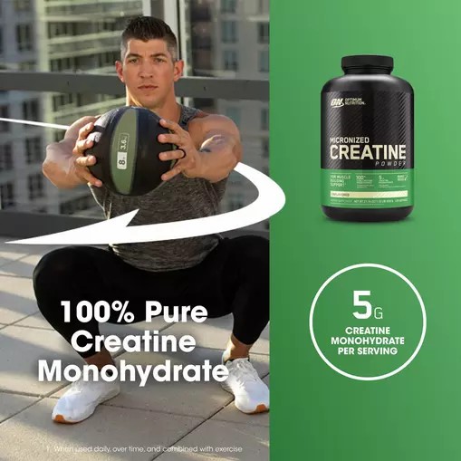 Optimum Nutrition Micronized Creatine Powder Unflavored 1.32 lb (120 Servings) South Africa | DNZQCU-876