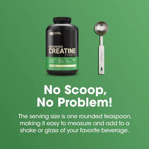 Optimum Nutrition Micronized Creatine Powder Unflavored 1.32 lb (120 Servings) South Africa | DNZQCU-876